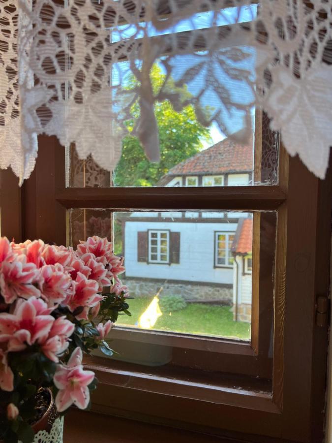 Apartament W Xix-Wiecznym Spichlerzu Nad Jeziorem Z Dostepem Do Parku I Widokiem Na Dworek Modrzewiowy Z 1823 Roku Szteklin Eksteriør billede