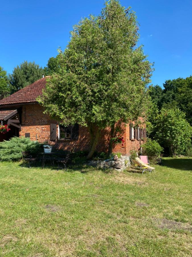 Apartament W Xix-Wiecznym Spichlerzu Nad Jeziorem Z Dostepem Do Parku I Widokiem Na Dworek Modrzewiowy Z 1823 Roku Szteklin Eksteriør billede